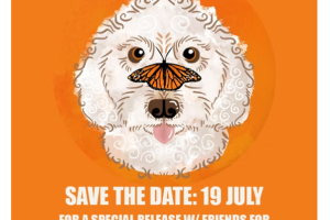 HeyDay Karma Keg tile showing a dog with an orange monarch butterfly on its nose against an orange background